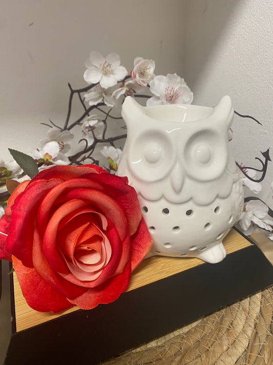 Brûleur HIBOU